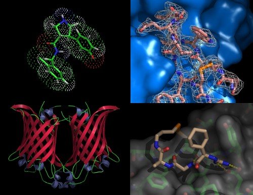 PyMol